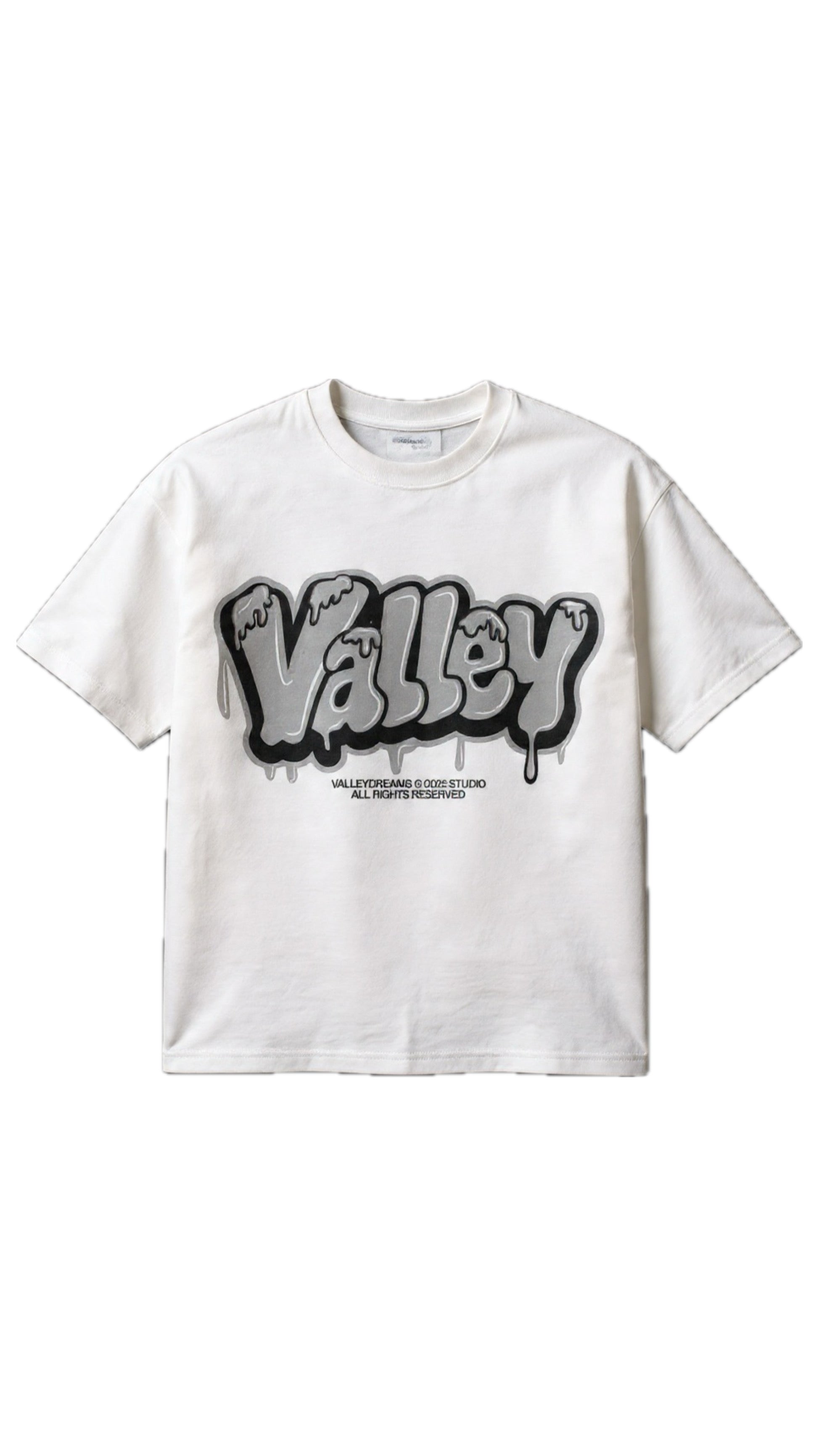 Graffiti Valley Tee - Grey